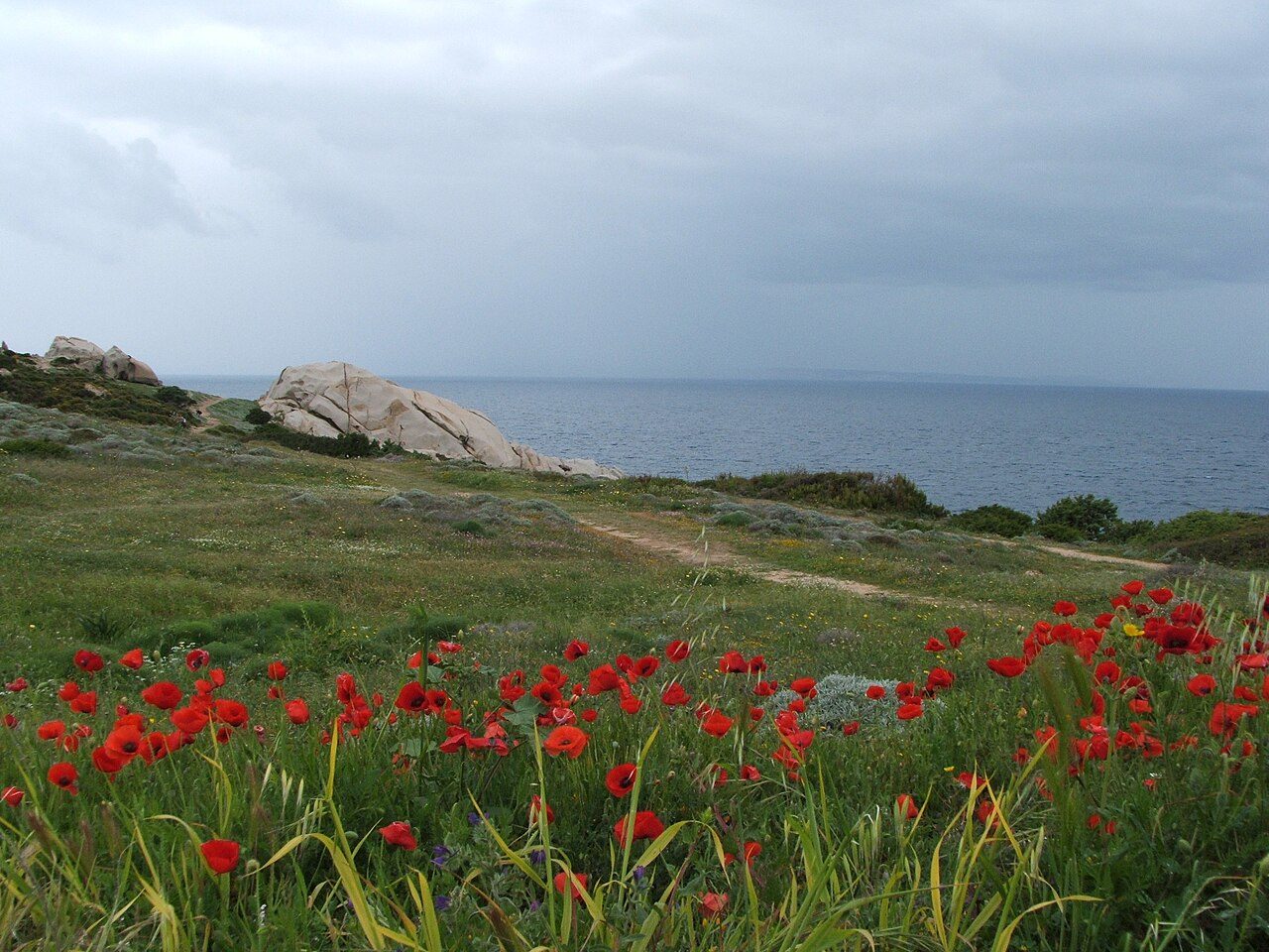 Capo Testa